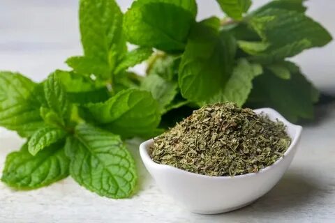 تصویر 1 از خرید عمده نعنا خشک کیلویی بالسی + قیمت به روز